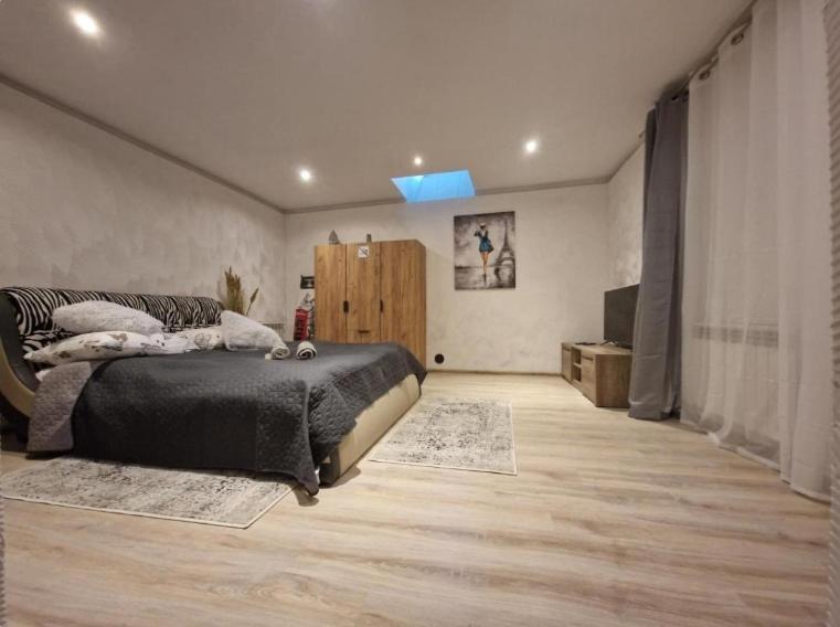 Apartment Alibi *
